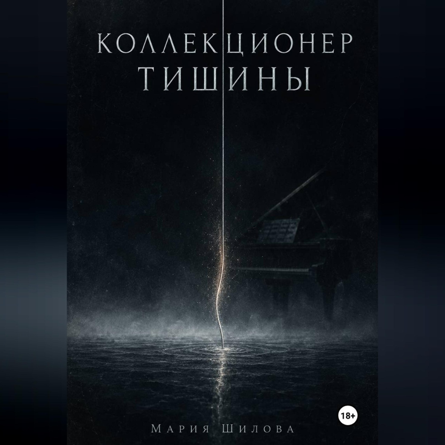 Обложка книги «Коллекционер тишины»