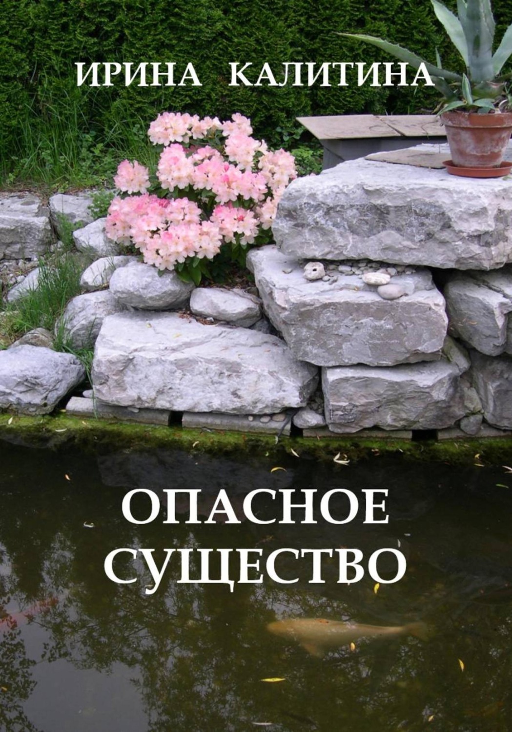 Обложка книги «Опасное существо»