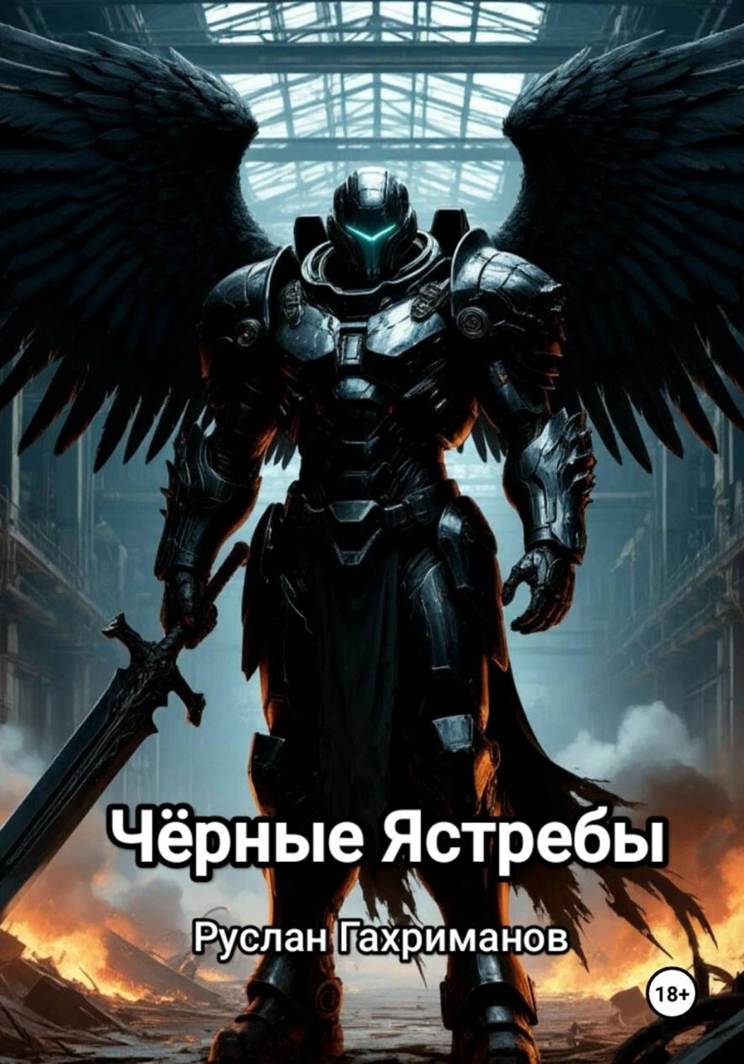 Обложка книги «Чёрные Ястребы»