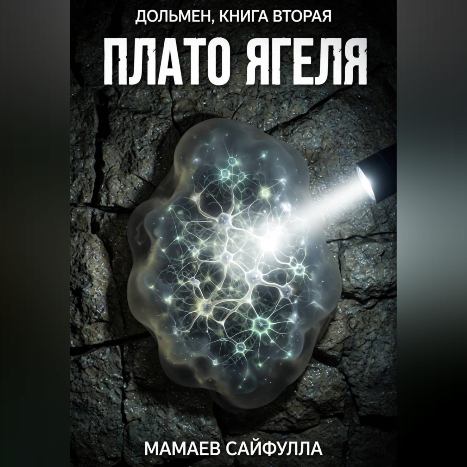 Обложка книги «Плато Ягеля. Дольмен книга вторая.»