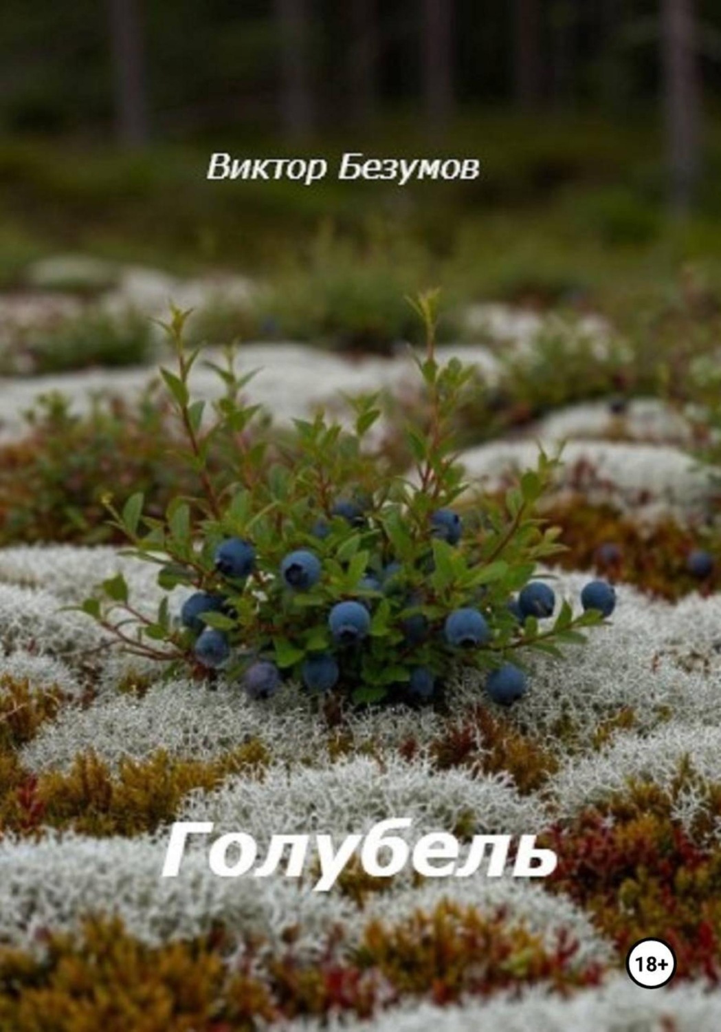 Обложка книги «Голубель»