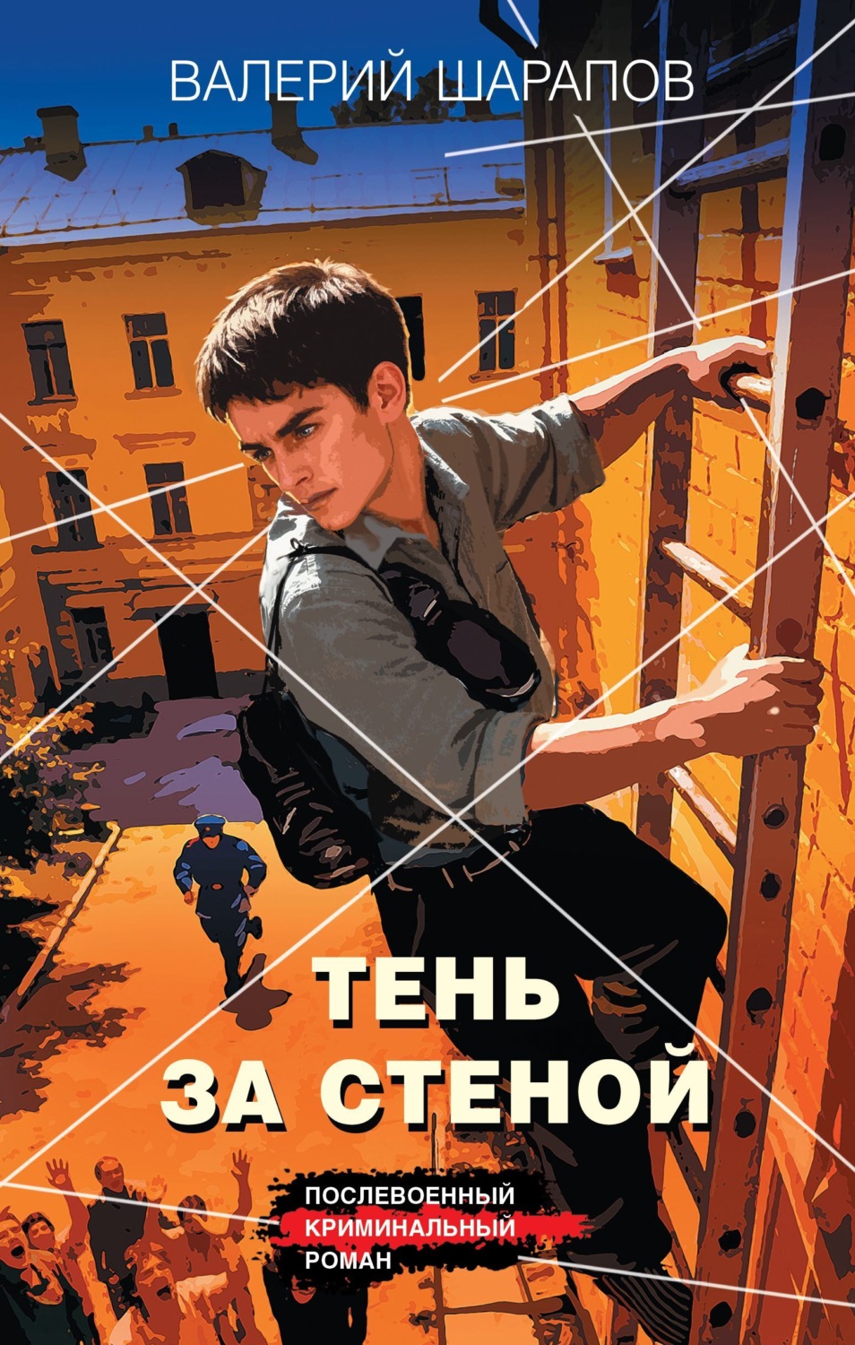 Обложка книги «Тень за стеной»