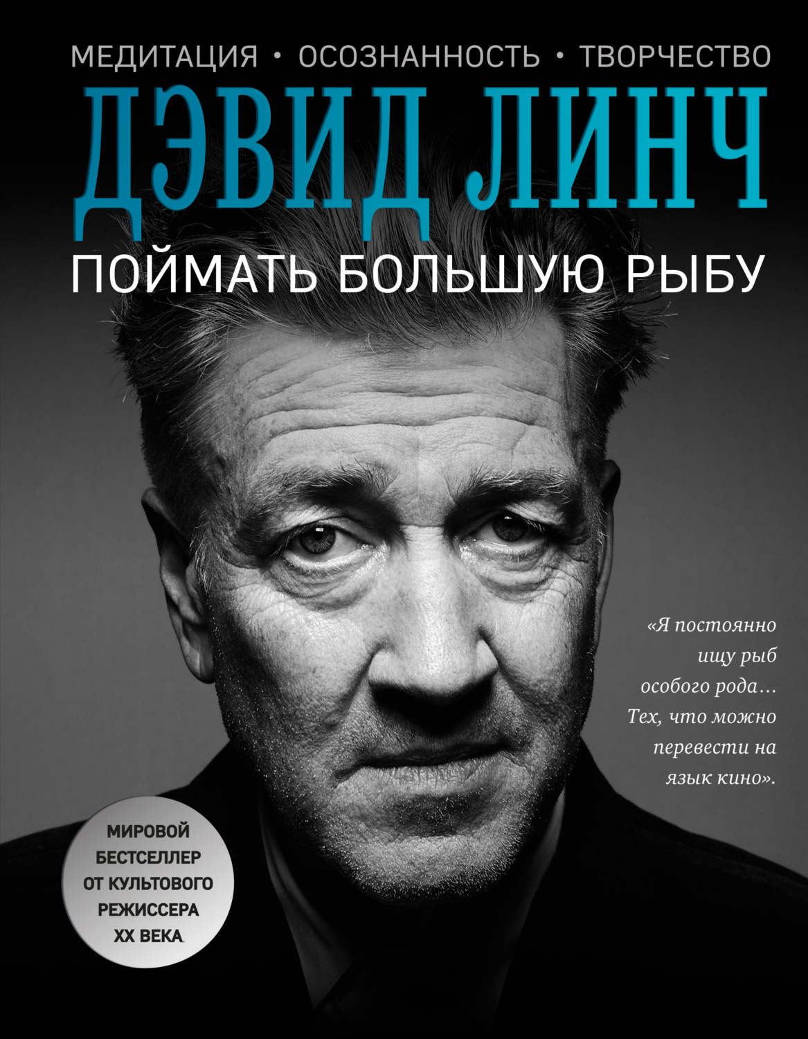 Обложка книги «Поймать большую рыбу. Медитация, осознанность, творчество»