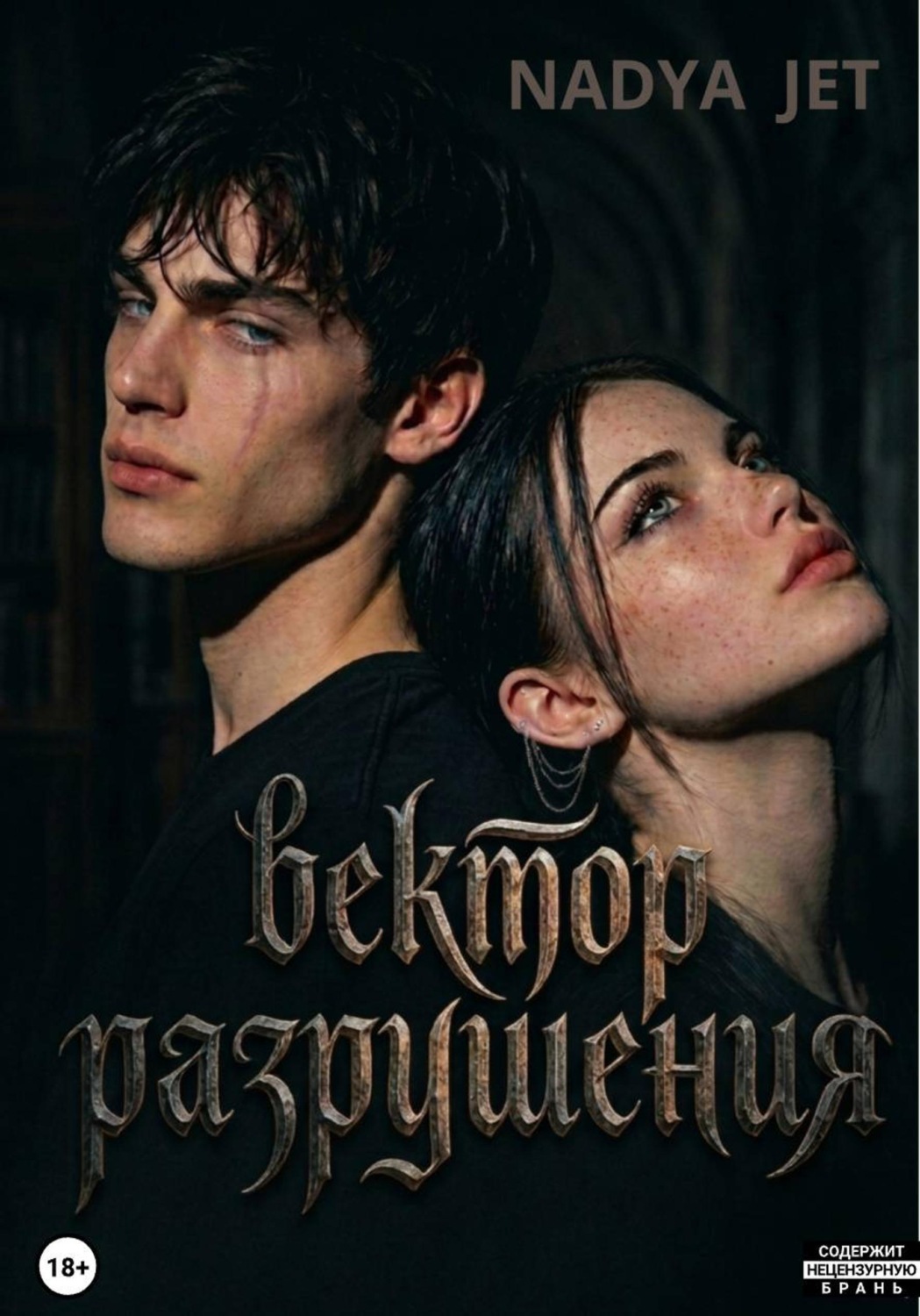 Обложка книги «Вектор разрушения»