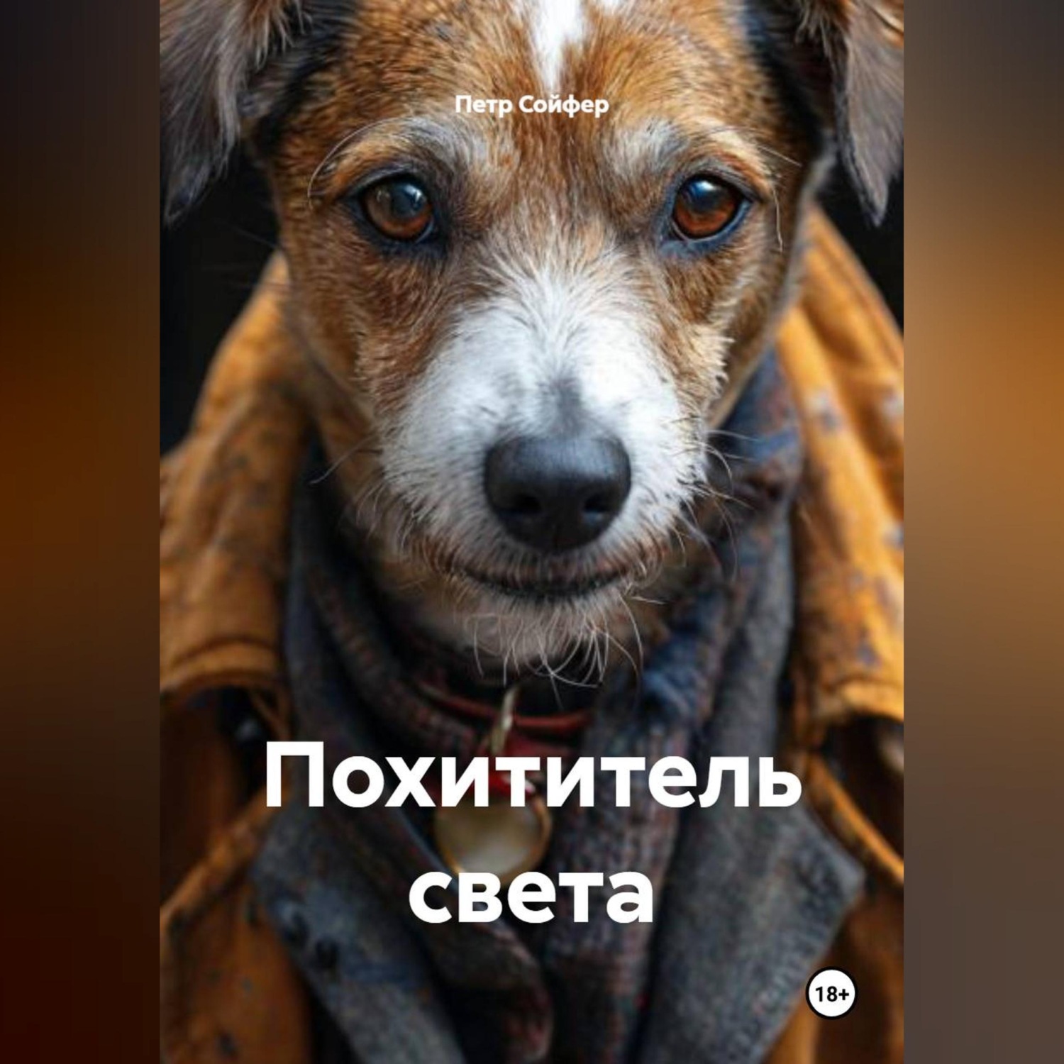 Обложка книги «Похититель света»