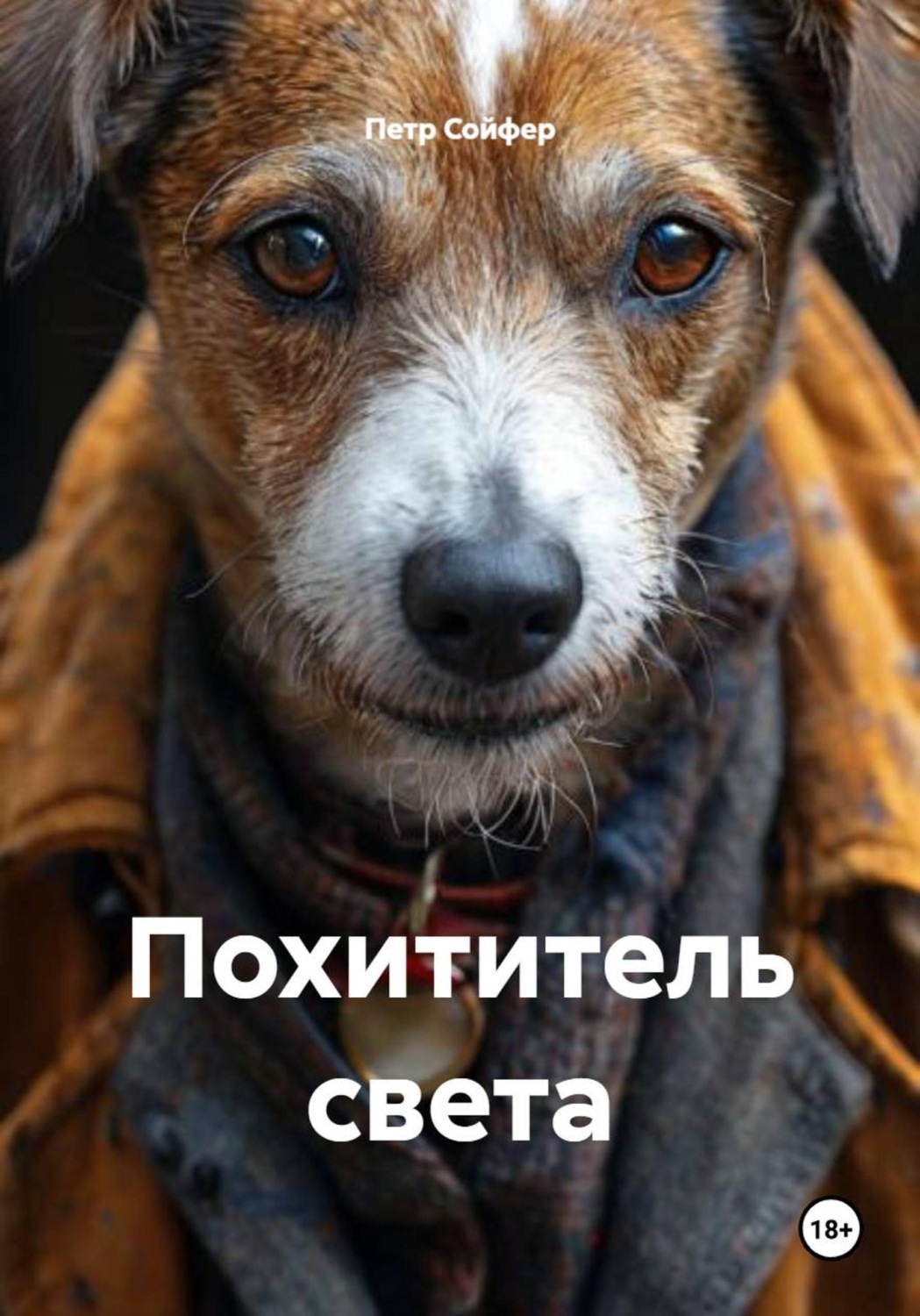 Обложка книги «Похититель света»