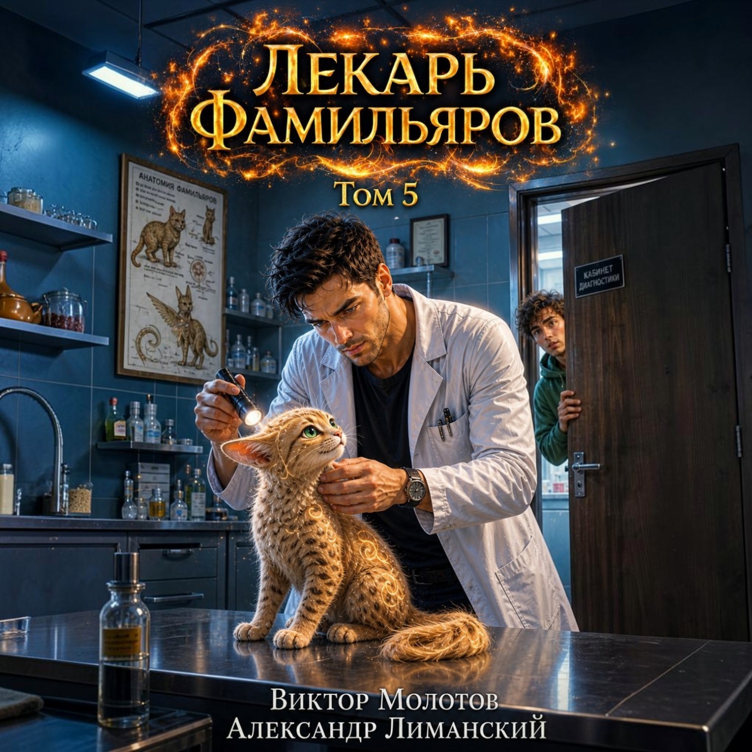 Обложка книги «Лекарь Фамильяров. Том 5»