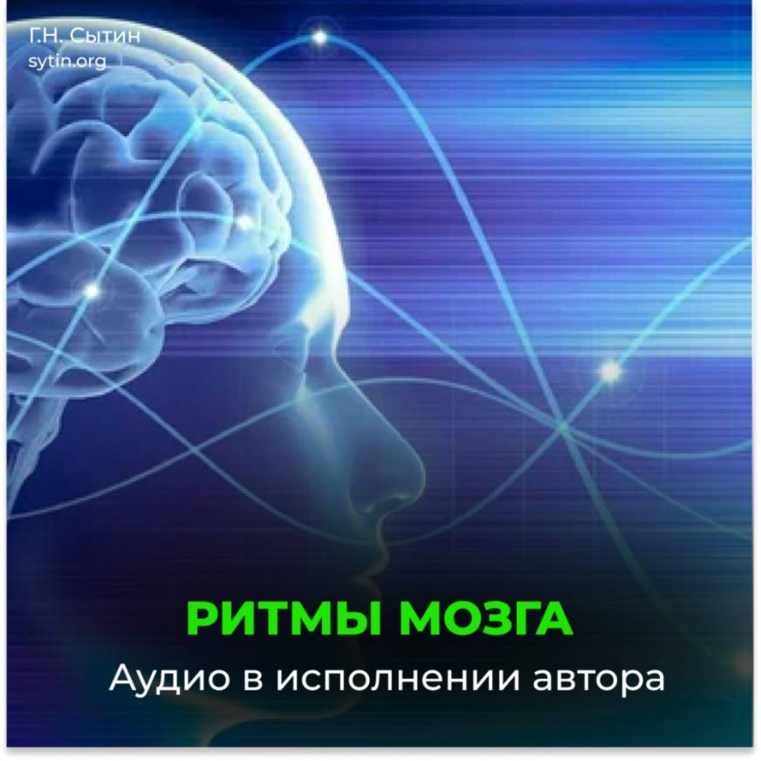 Обложка книги «Ритмы головного мозга»