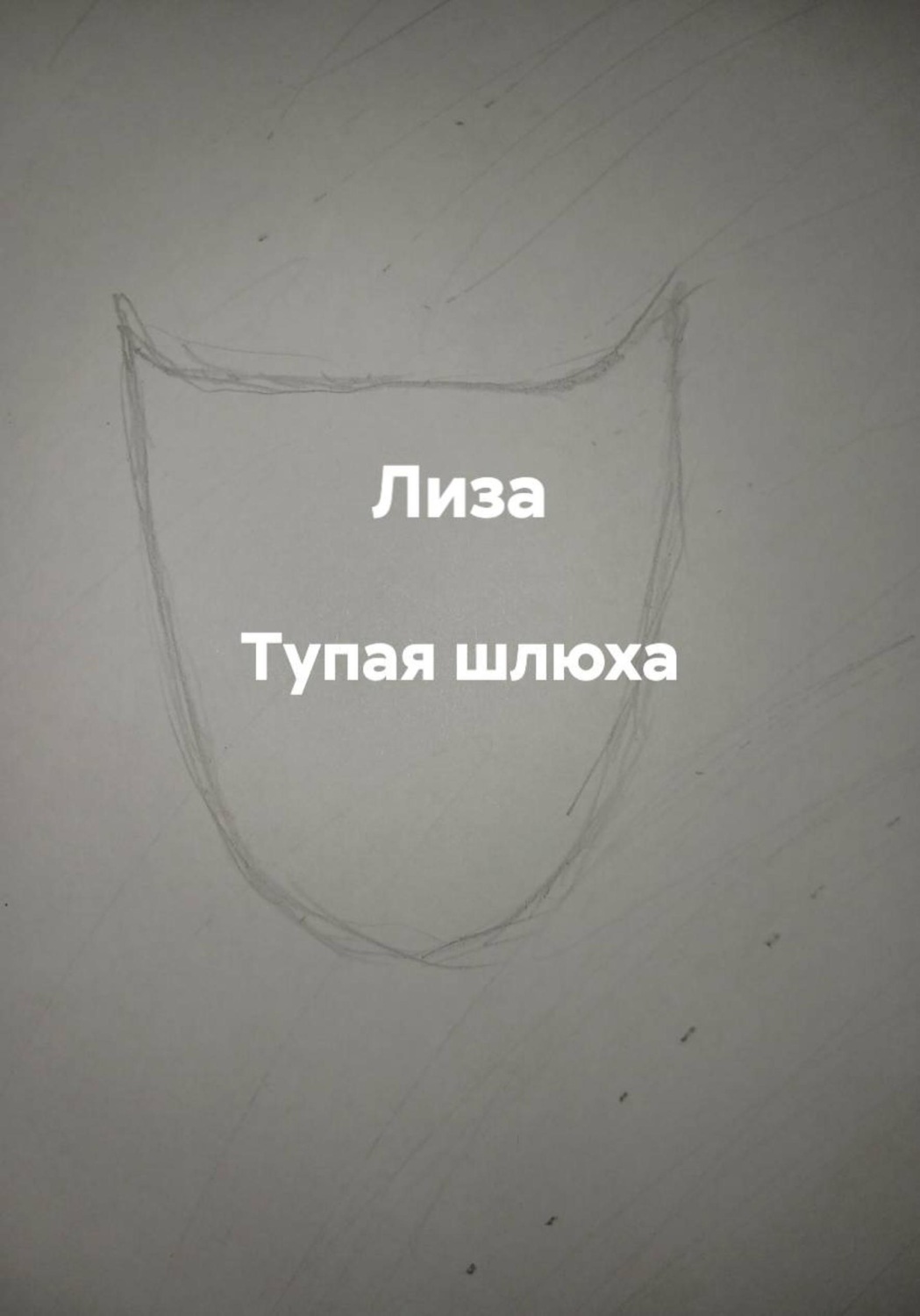 Обложка книги «Тупая шлюха»