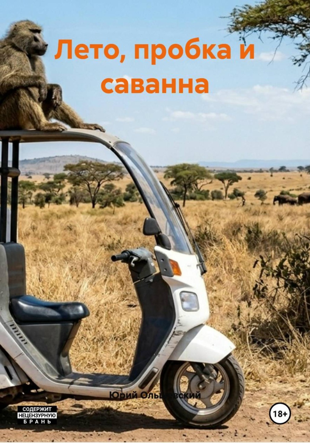 Обложка книги «Лето, пробка и саванна»