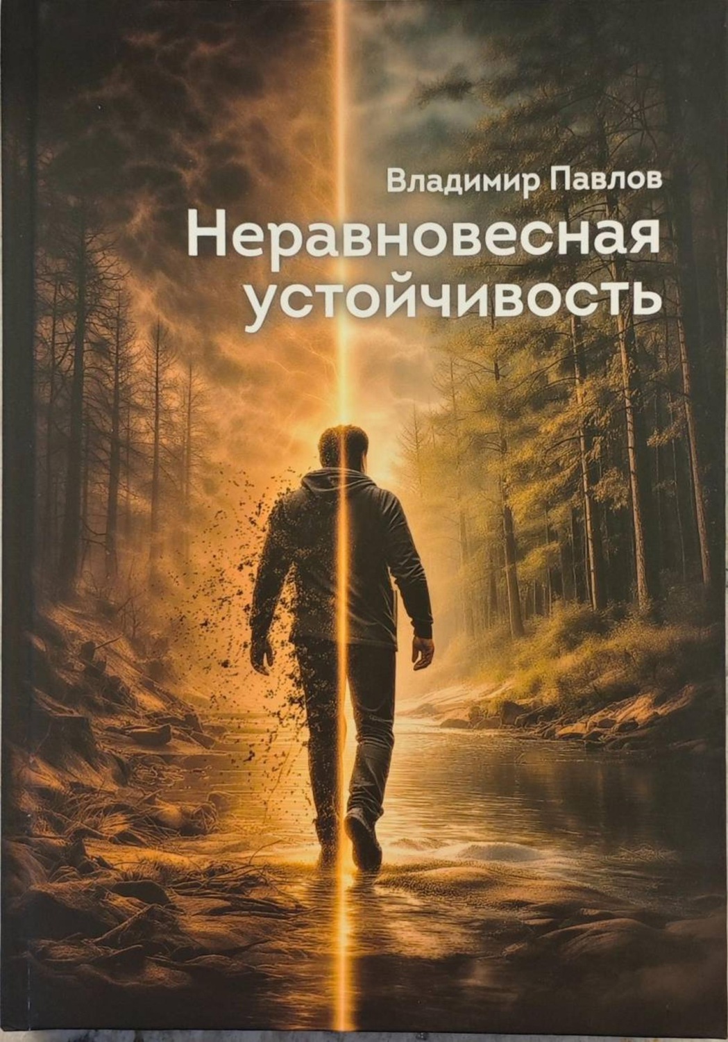 Обложка книги «Неравновесная устойчивость»