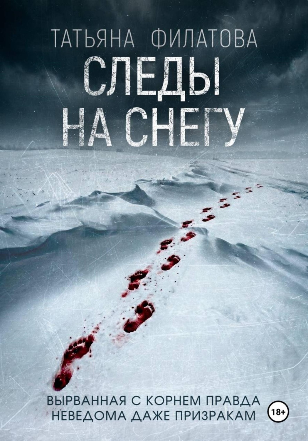 Обложка книги «Следы на снегу»