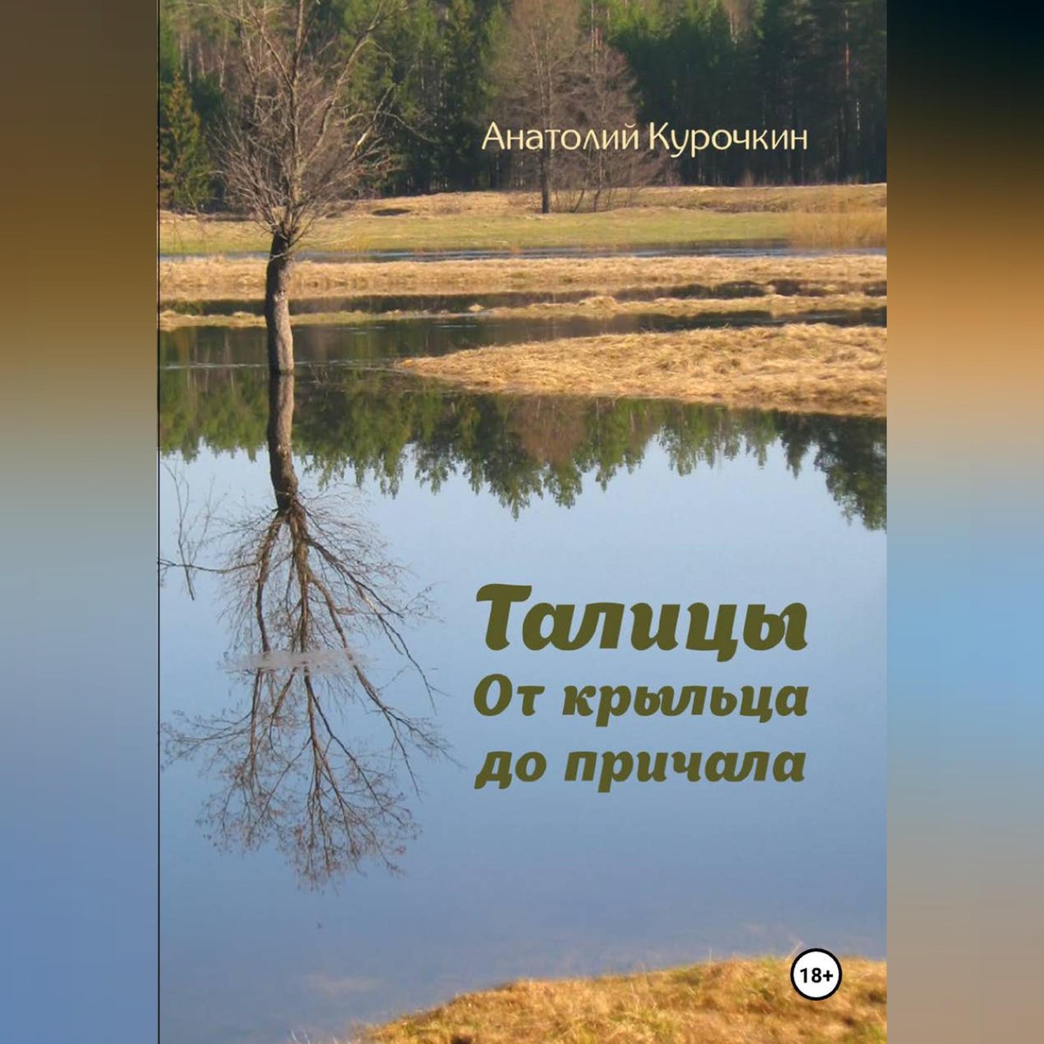Обложка книги «Талицы. От крыльца до причала»