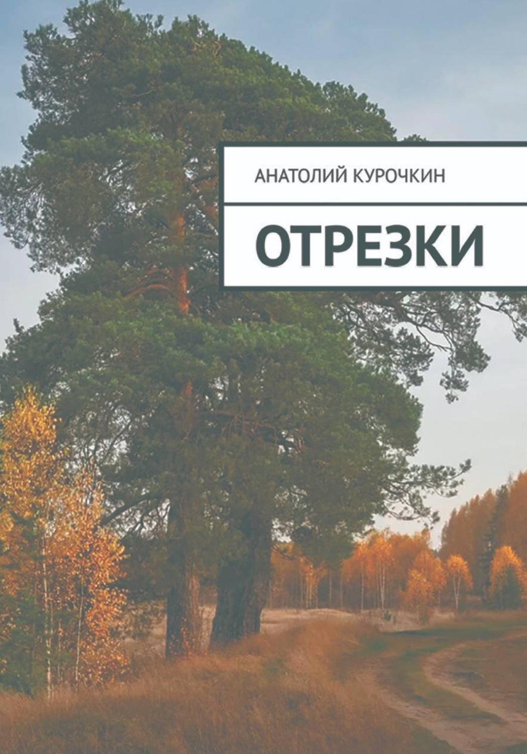 Обложка книги «Отрезки»