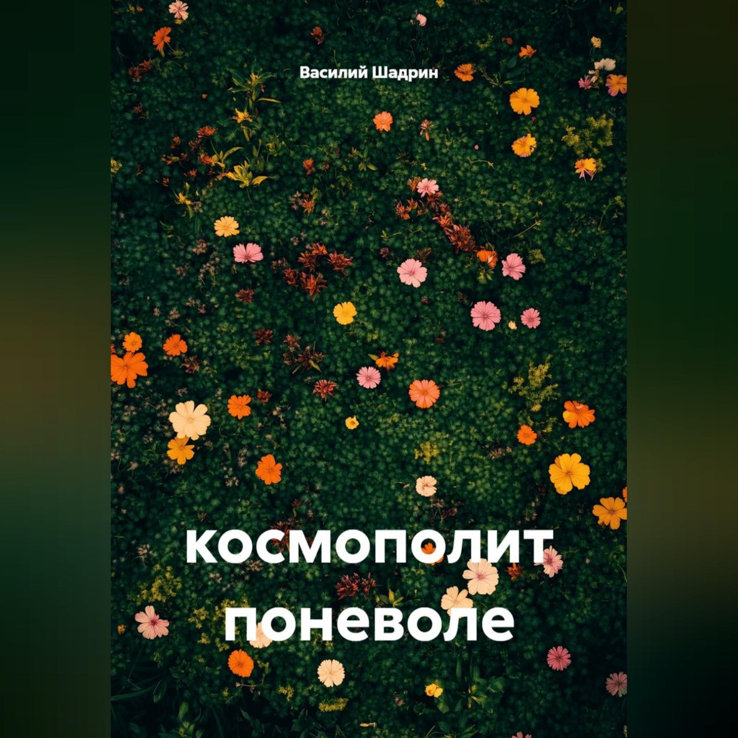 Обложка книги «космополит поневоле»
