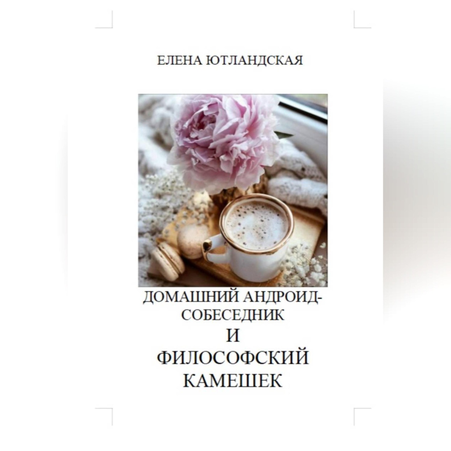 Обложка книги «Домашний андроид-собеседник и философский камешек»