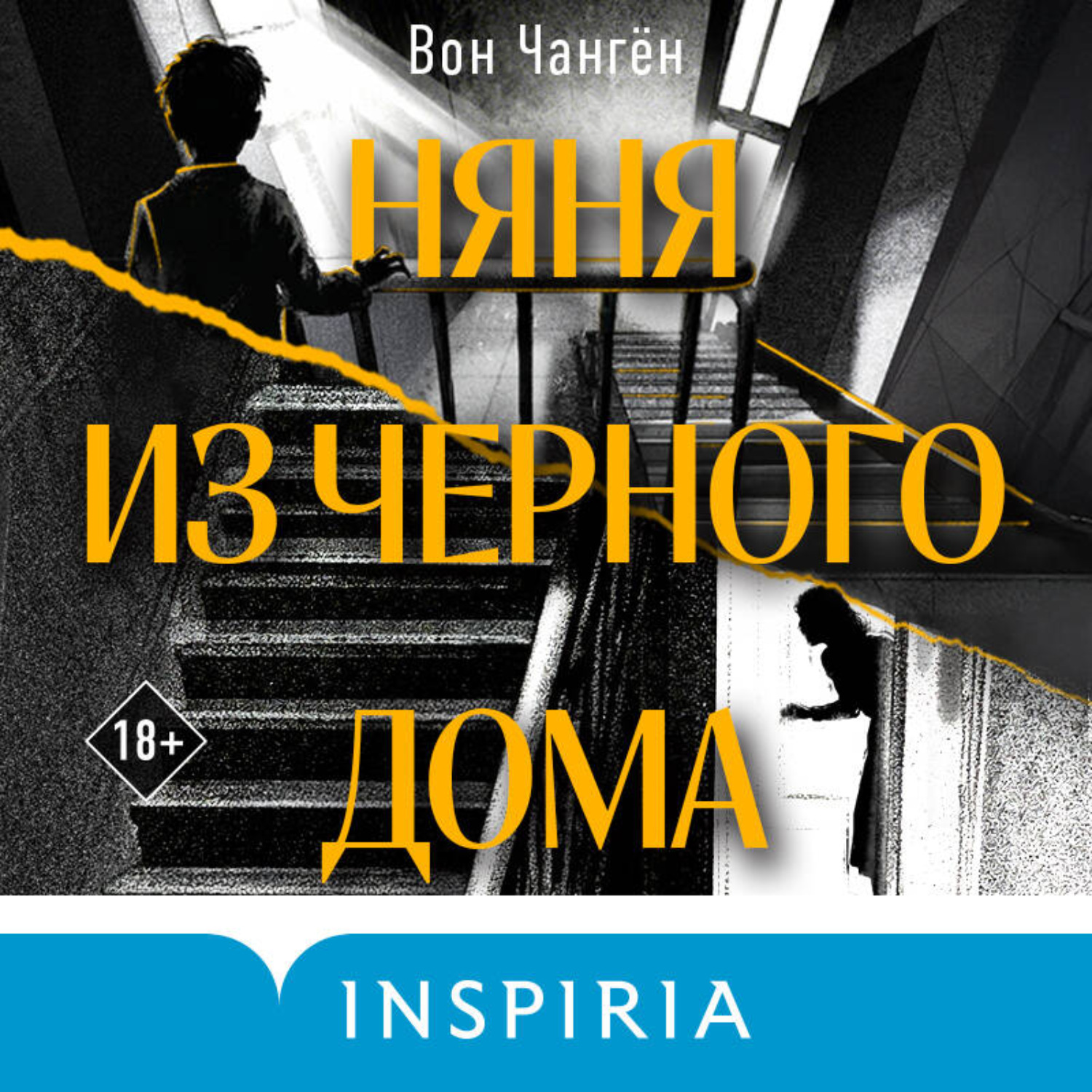 Обложка книги «Няня из черного дома»