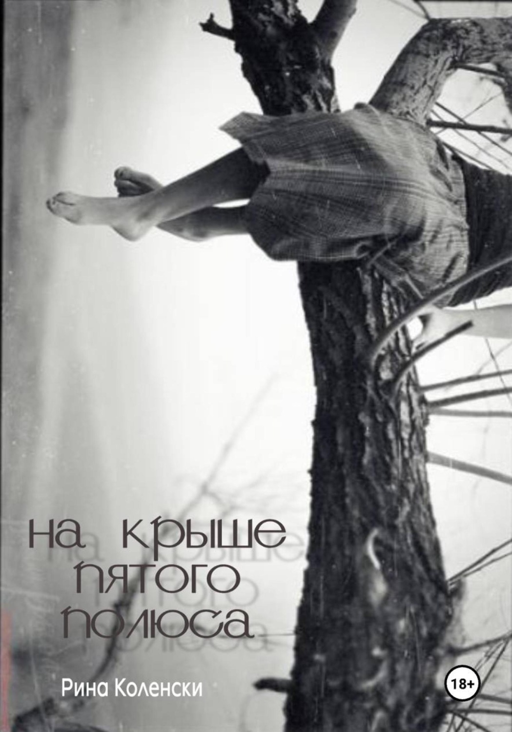 Обложка книги «На крыше пятого полюса»