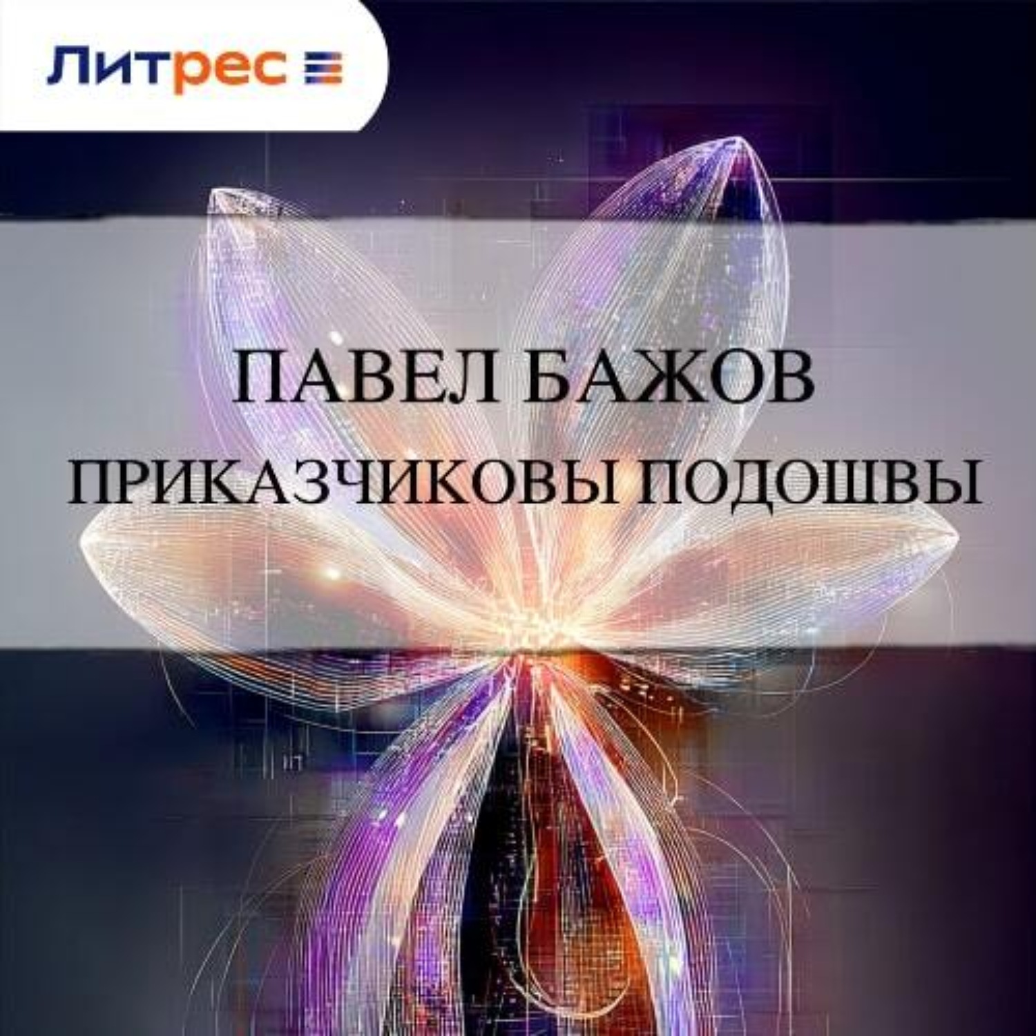 Обложка книги «Приказчиковы подошвы»