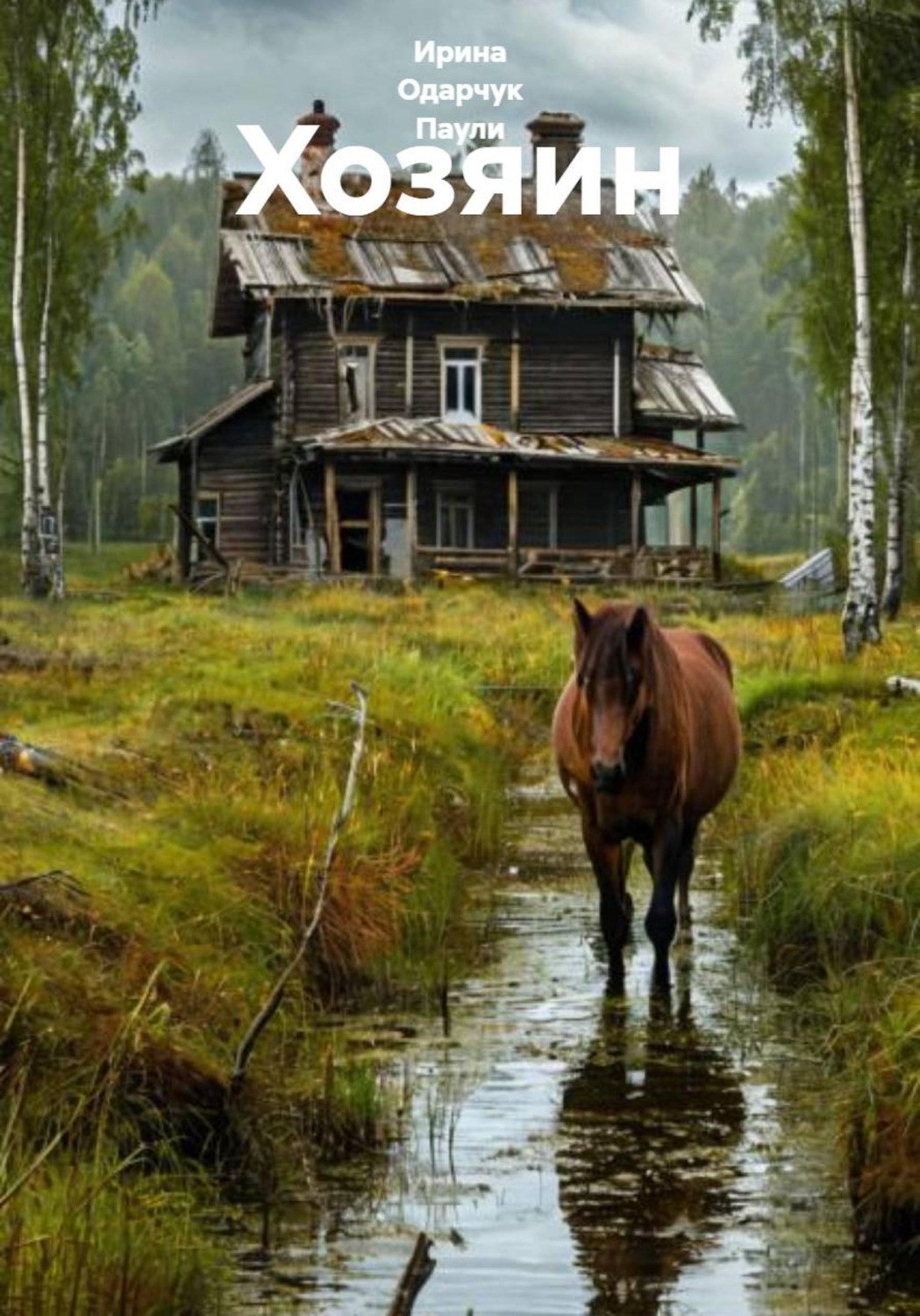 Обложка книги «Хозяин»