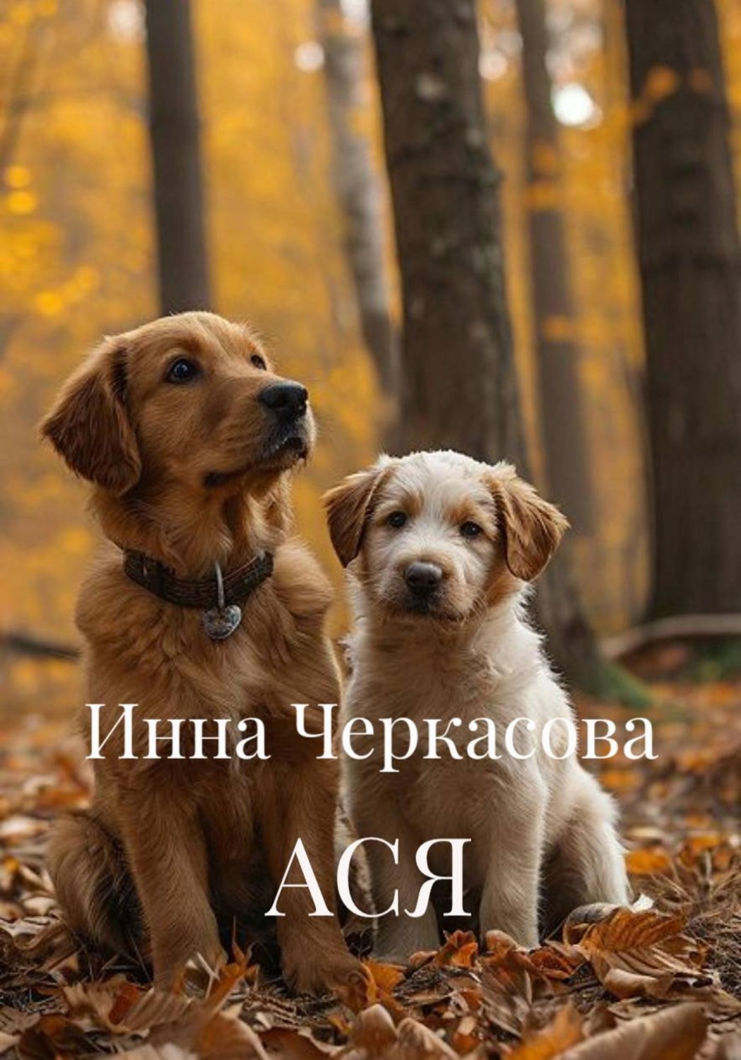Обложка книги «АСЯ»