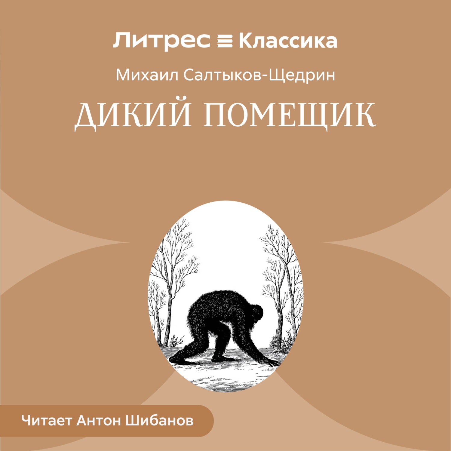 Обложка книги «Дикий помещик»