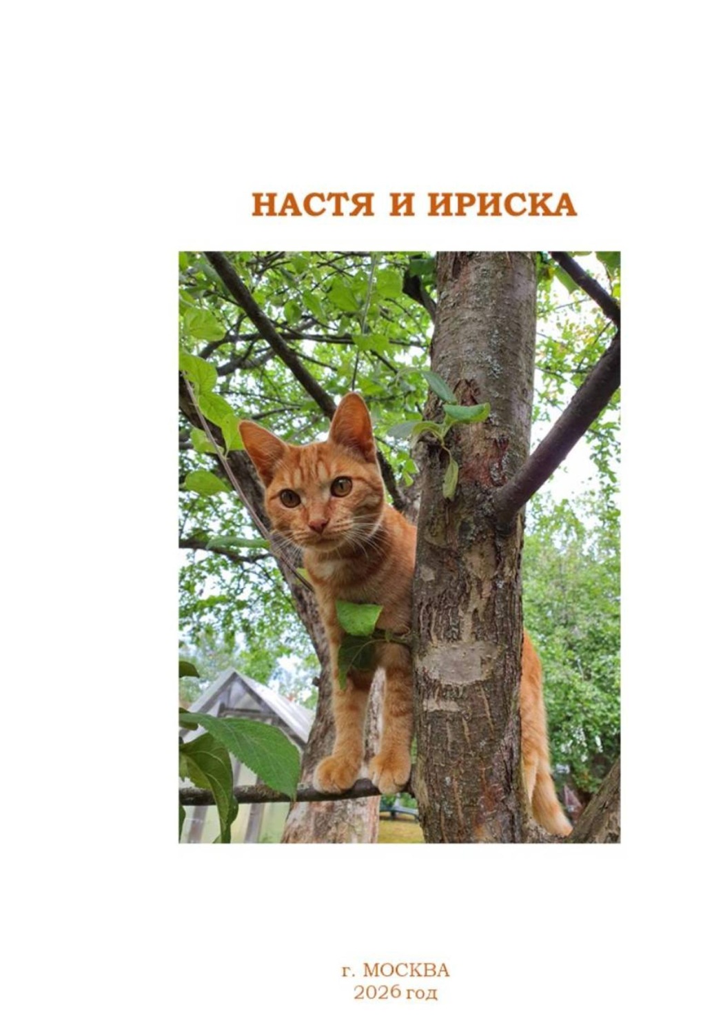 Обложка книги «Настя и Ириска»