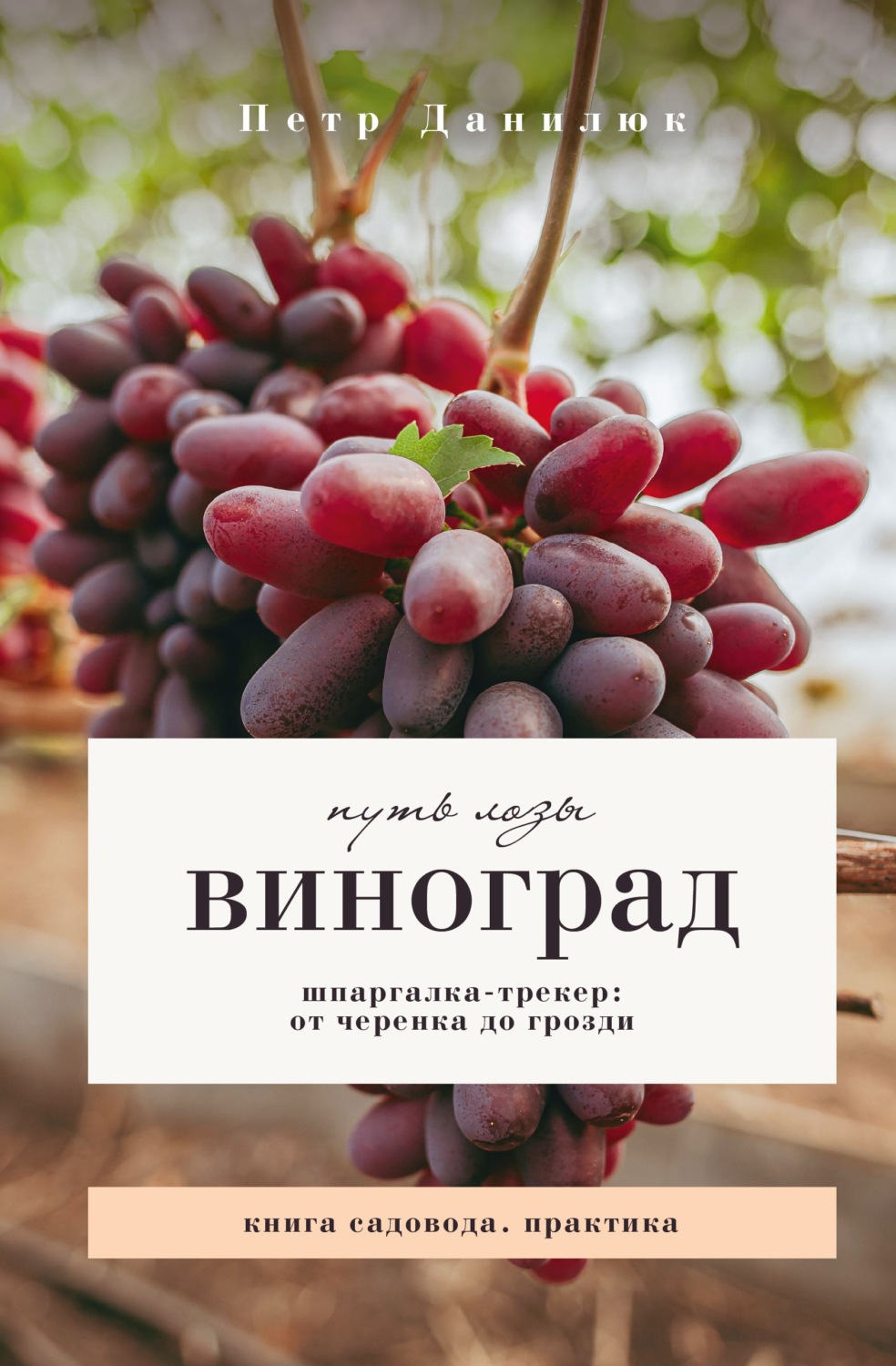 Обложка книги «Виноград. Путь лозы. Шпаргалка-трекер: от черенка до грозди»
