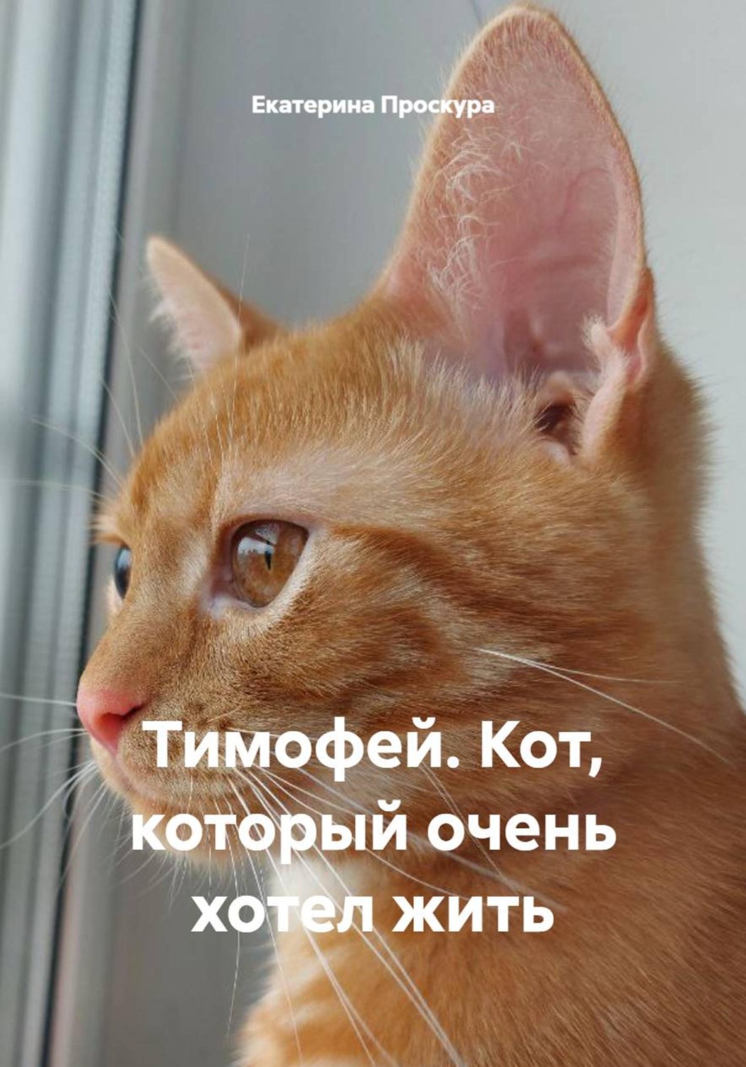 Обложка книги «Тимофей. Кот, который очень хотел жить»
