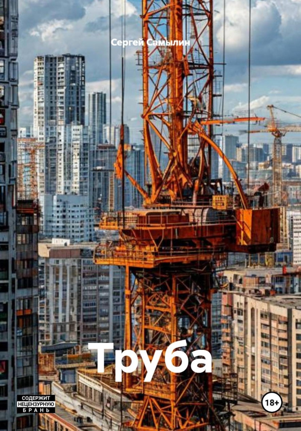 Обложка книги «Труба»
