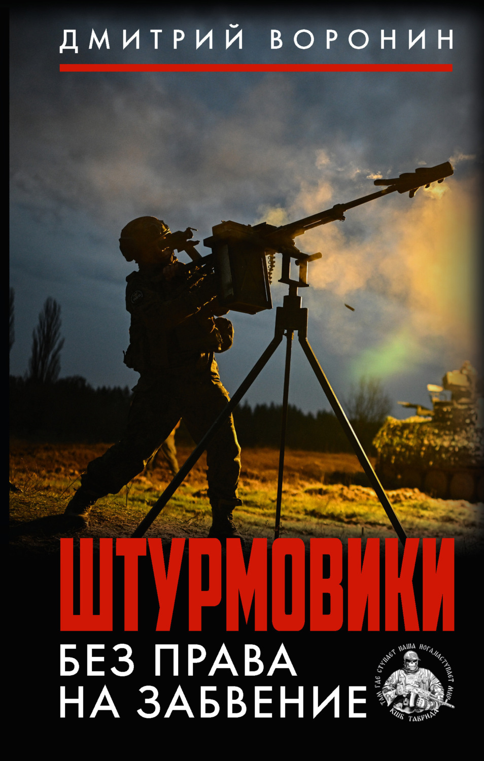Обложка книги «Штурмовики. Без права на забвение»