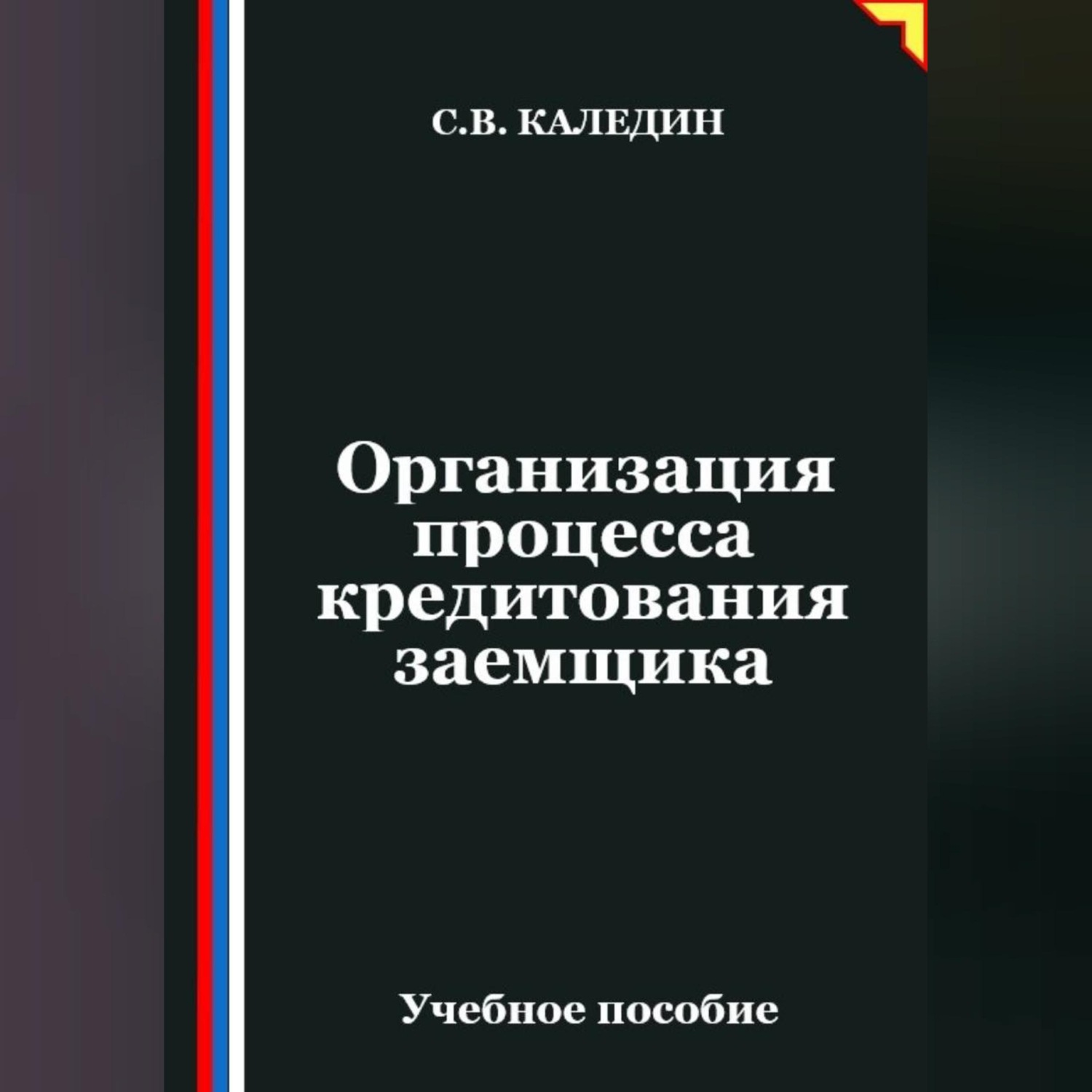 Обложка книги «Организация процесса кредитования заемщика»
