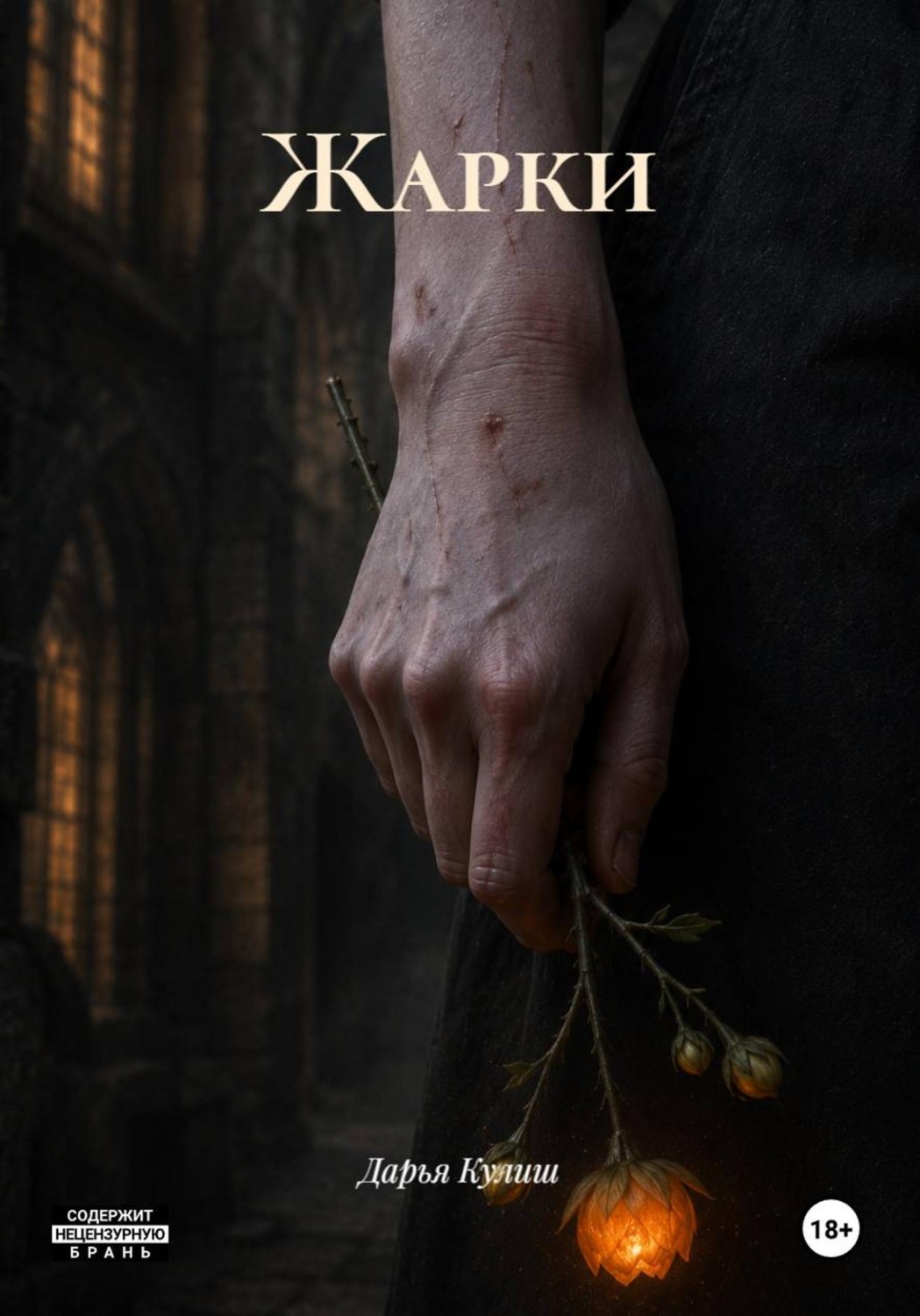 Обложка книги «Жарки»