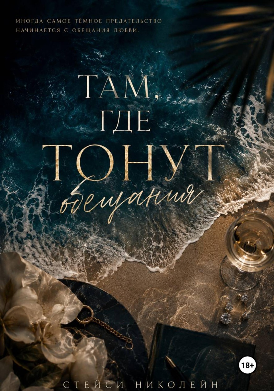 Обложка книги «Там, где тонут обещания»