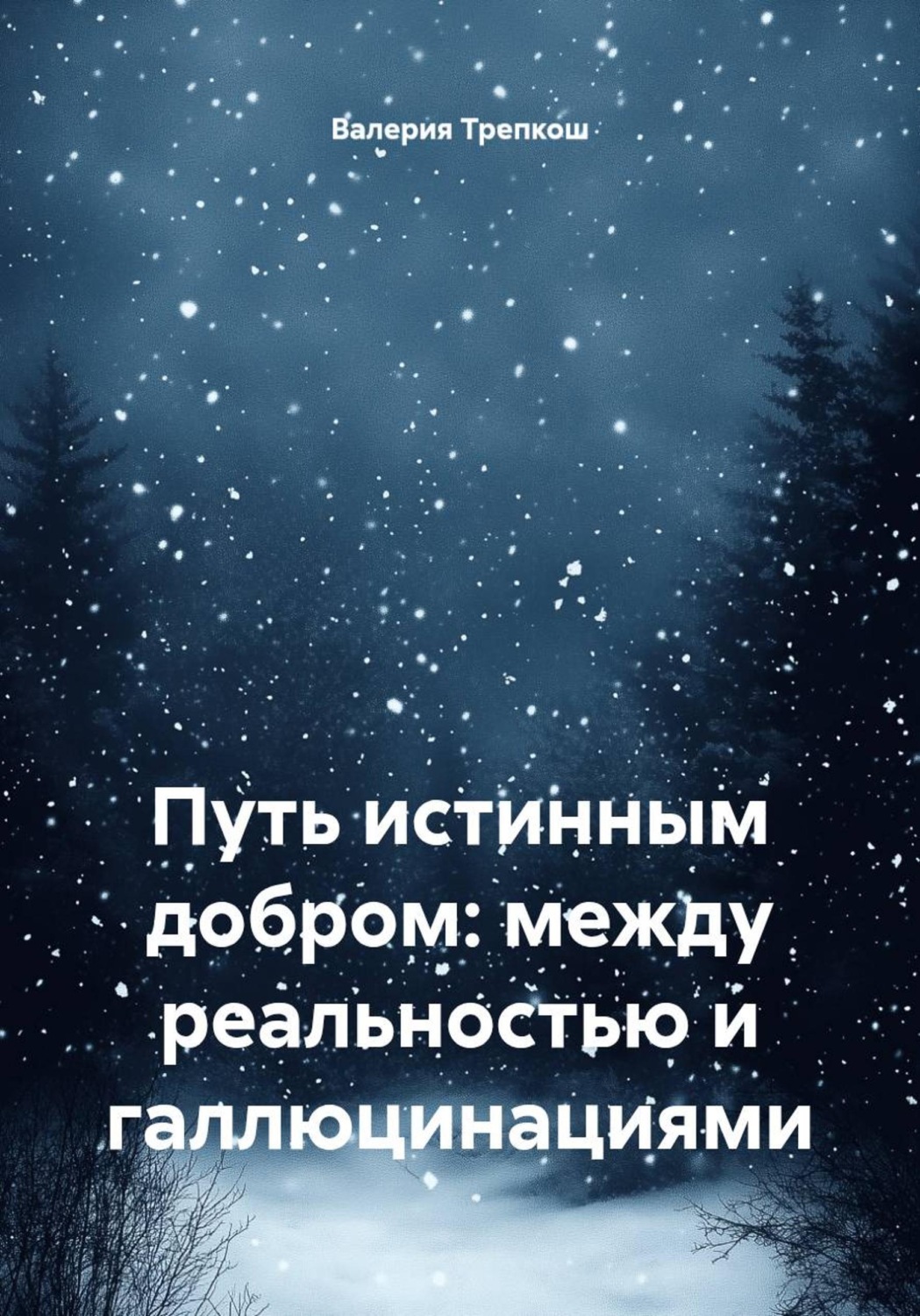 Обложка книги «Путь истинным добром: между реальностью и галлюцинациями»