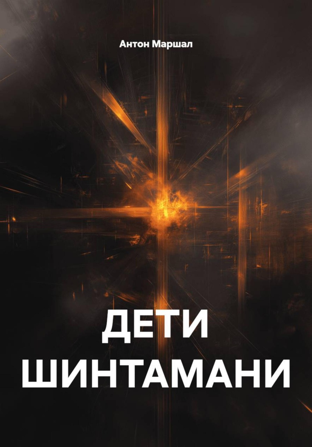 Обложка книги «Дети Шинтамани»
