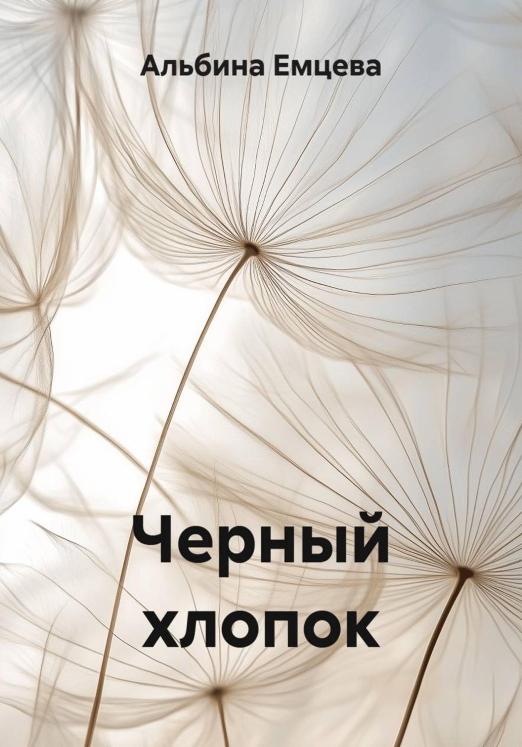 Обложка книги «Черный хлопок»
