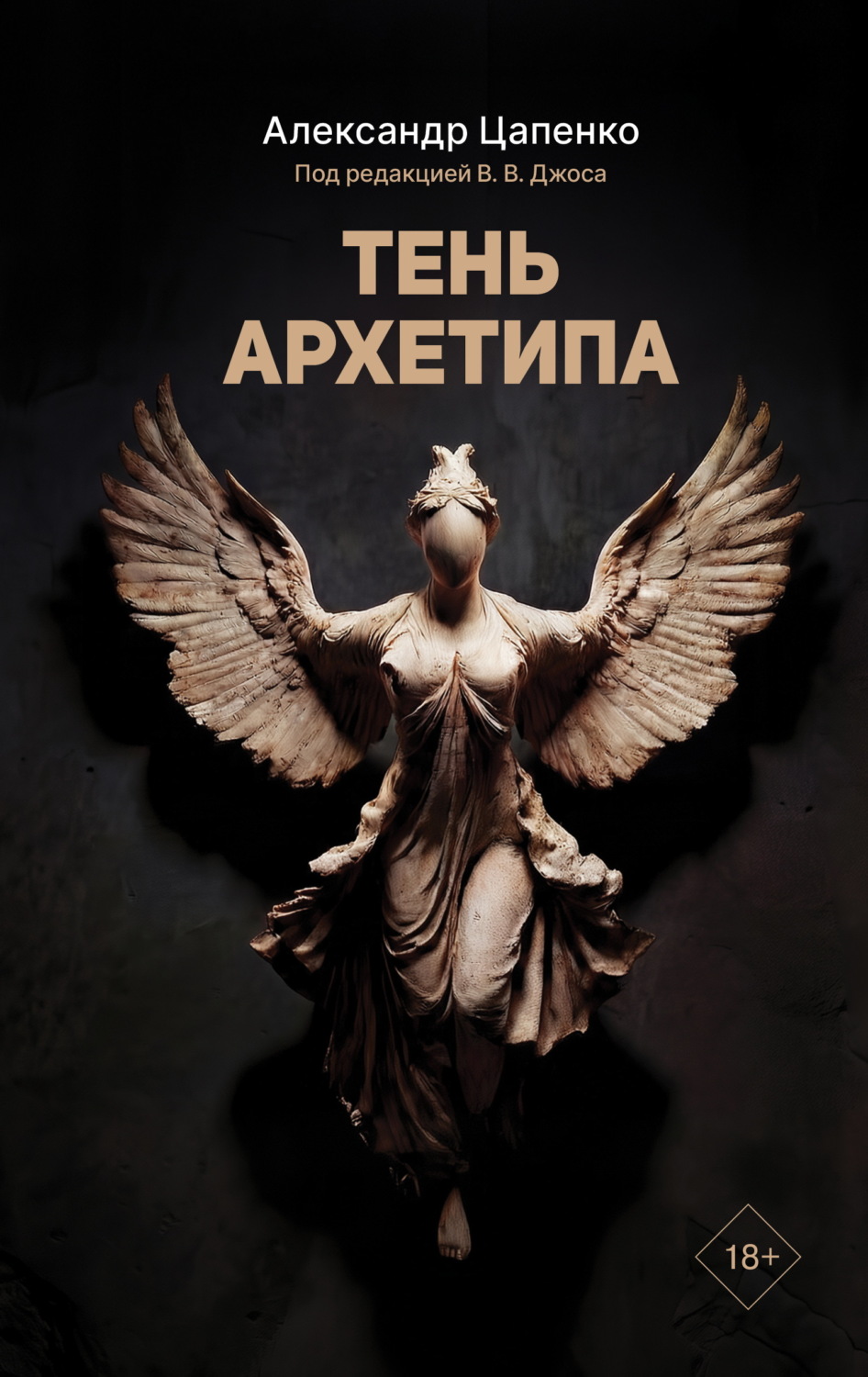 Обложка книги «Тень архетипа»