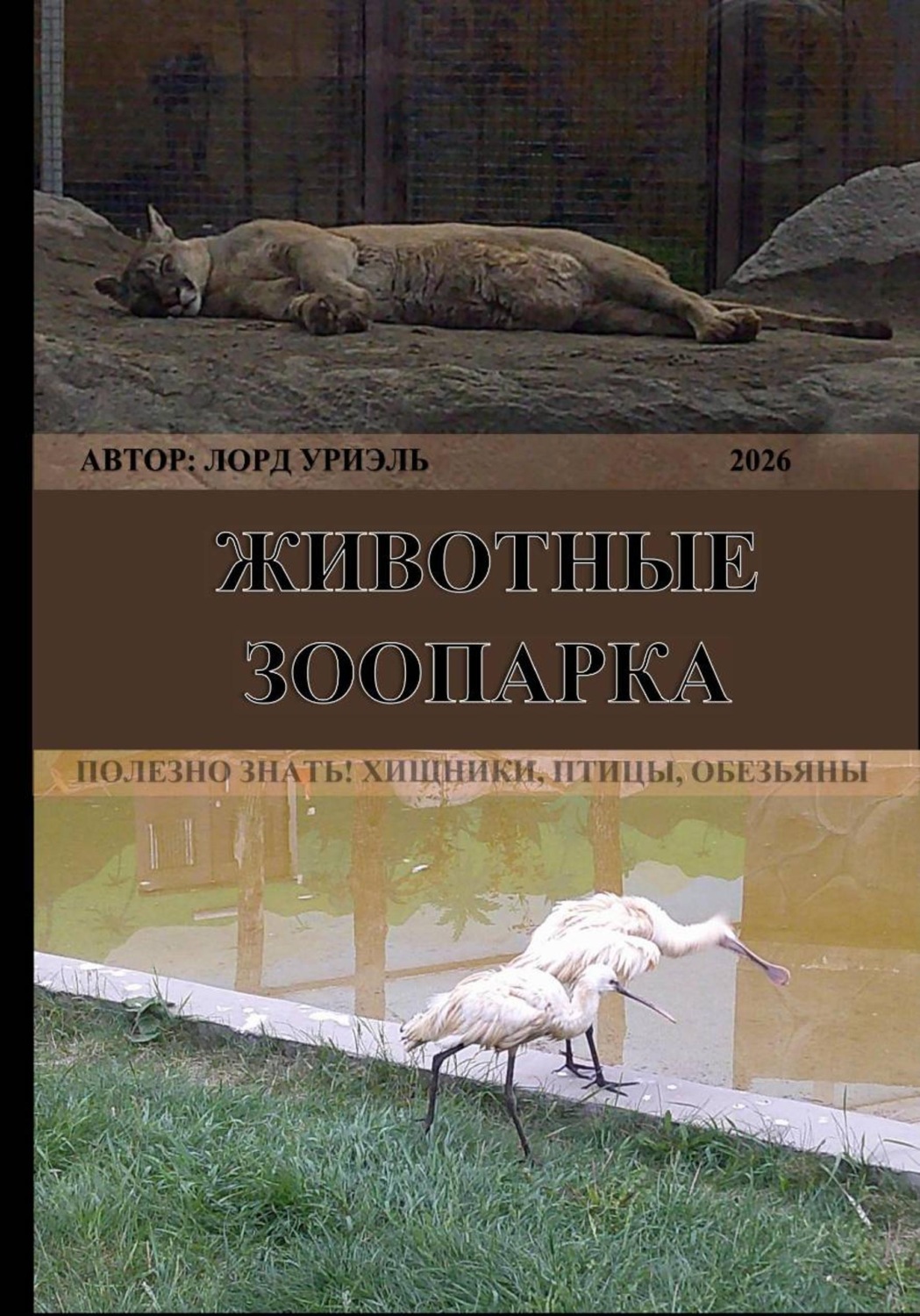Обложка книги «Животные зоопарка»
