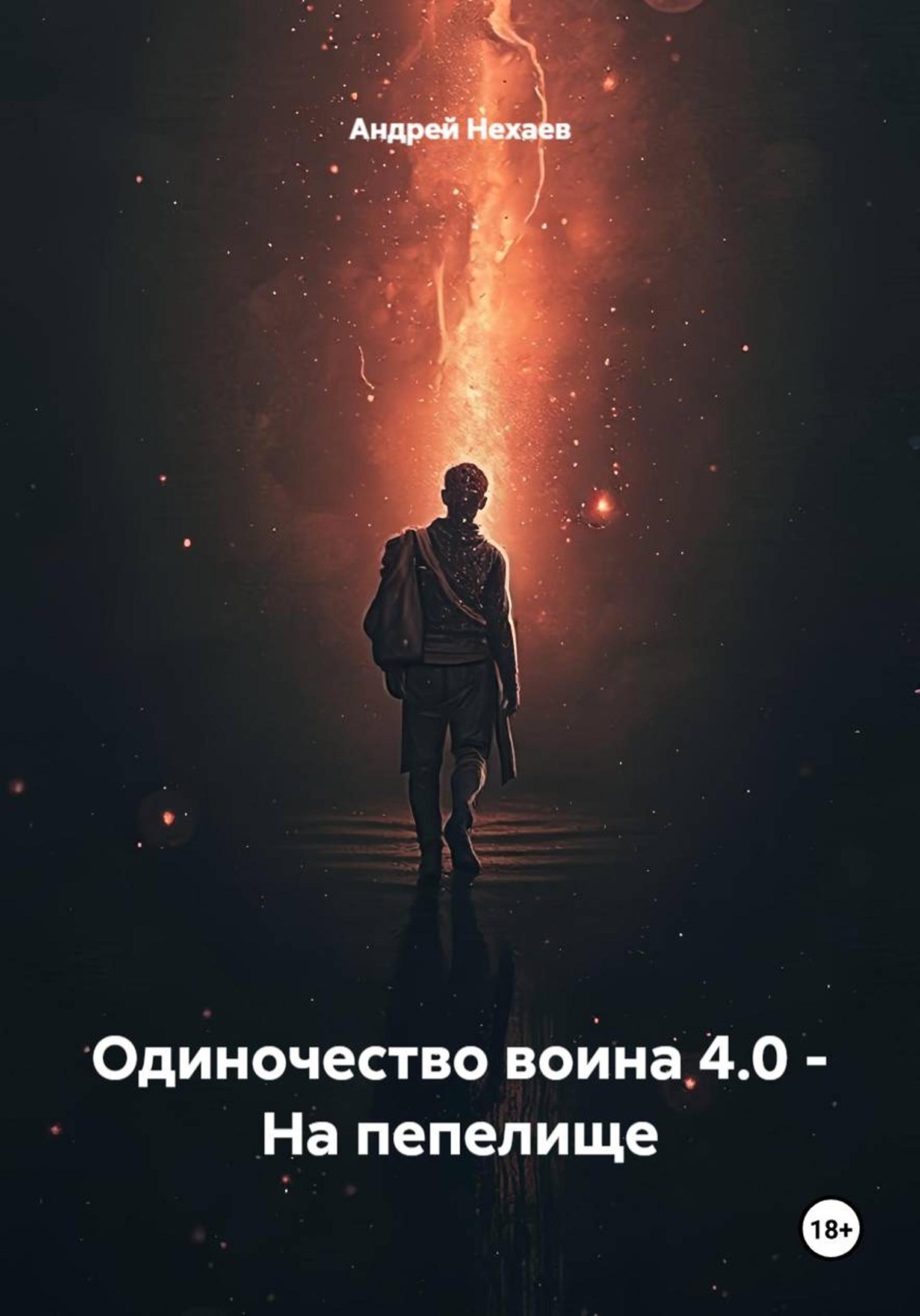 Обложка книги «Одиночество воина 4.0 - На пепелище»