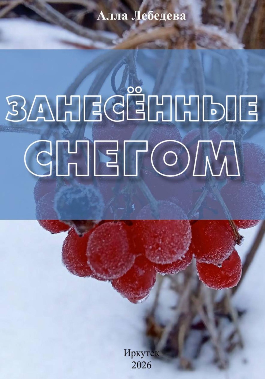Обложка книги «Занесённые снегом»