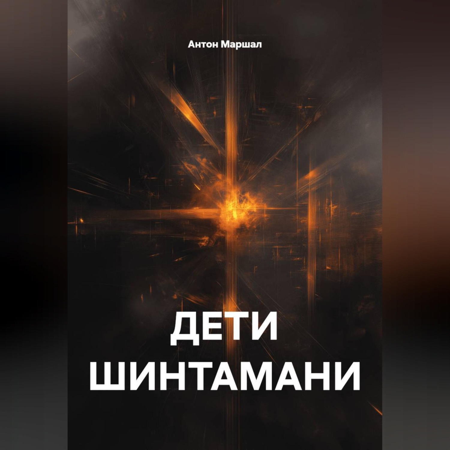 Обложка книги «ДЕТИ ШИНТАМАНИ»