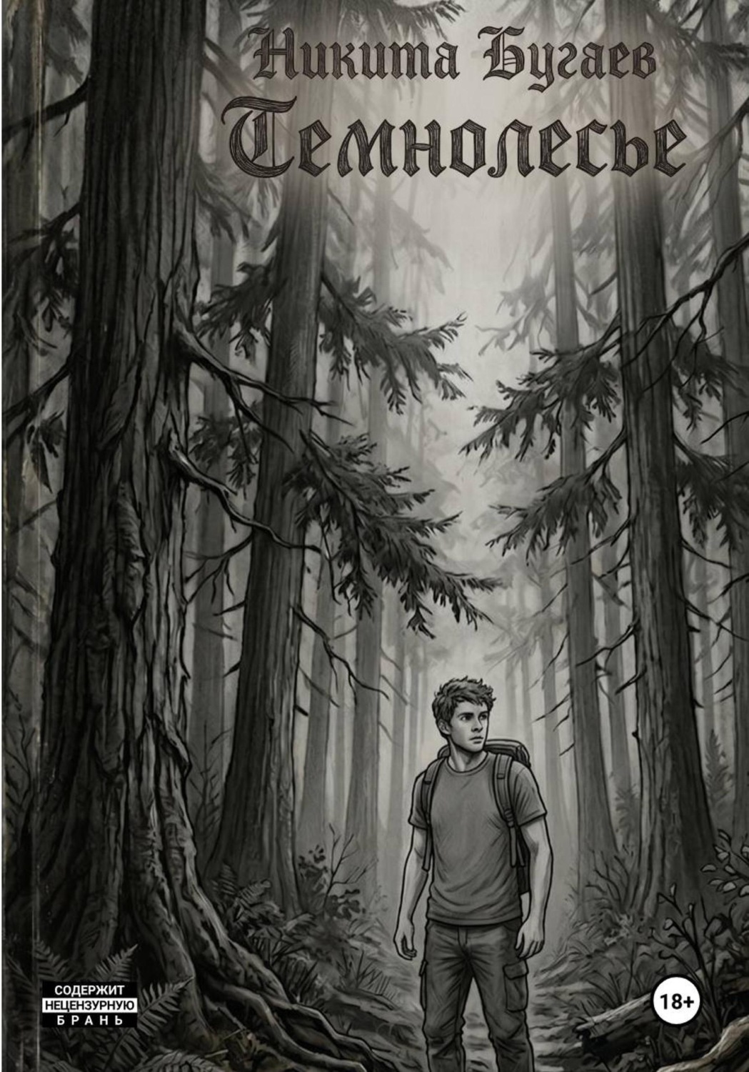 Обложка книги «темнолесье»
