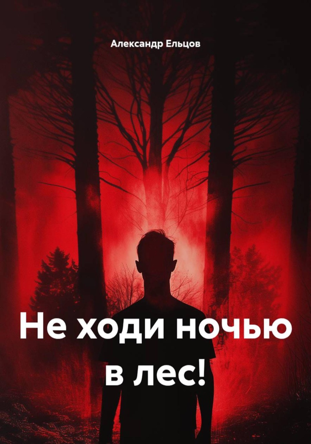 Обложка книги «Не ходи ночью в лес!»