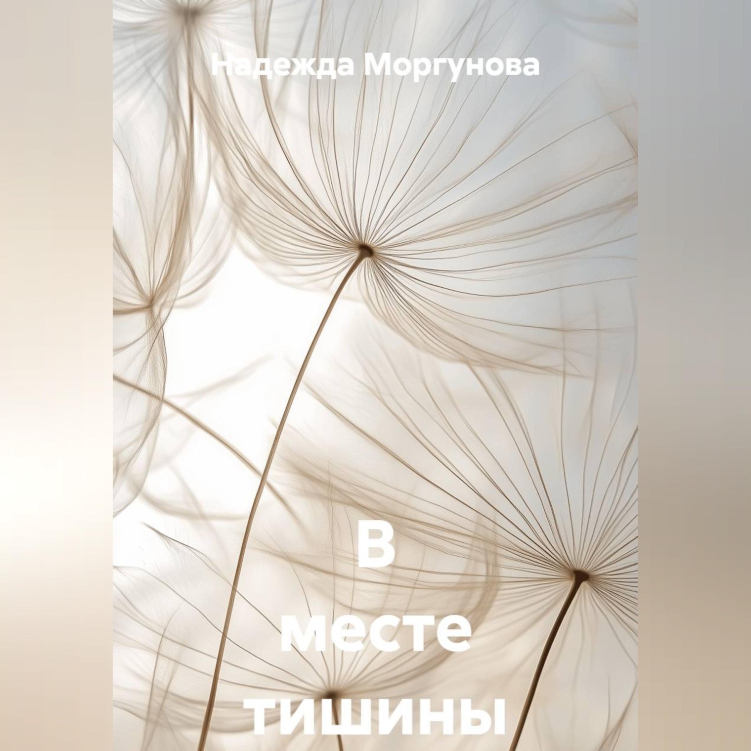 Обложка книги «В месте тишины»