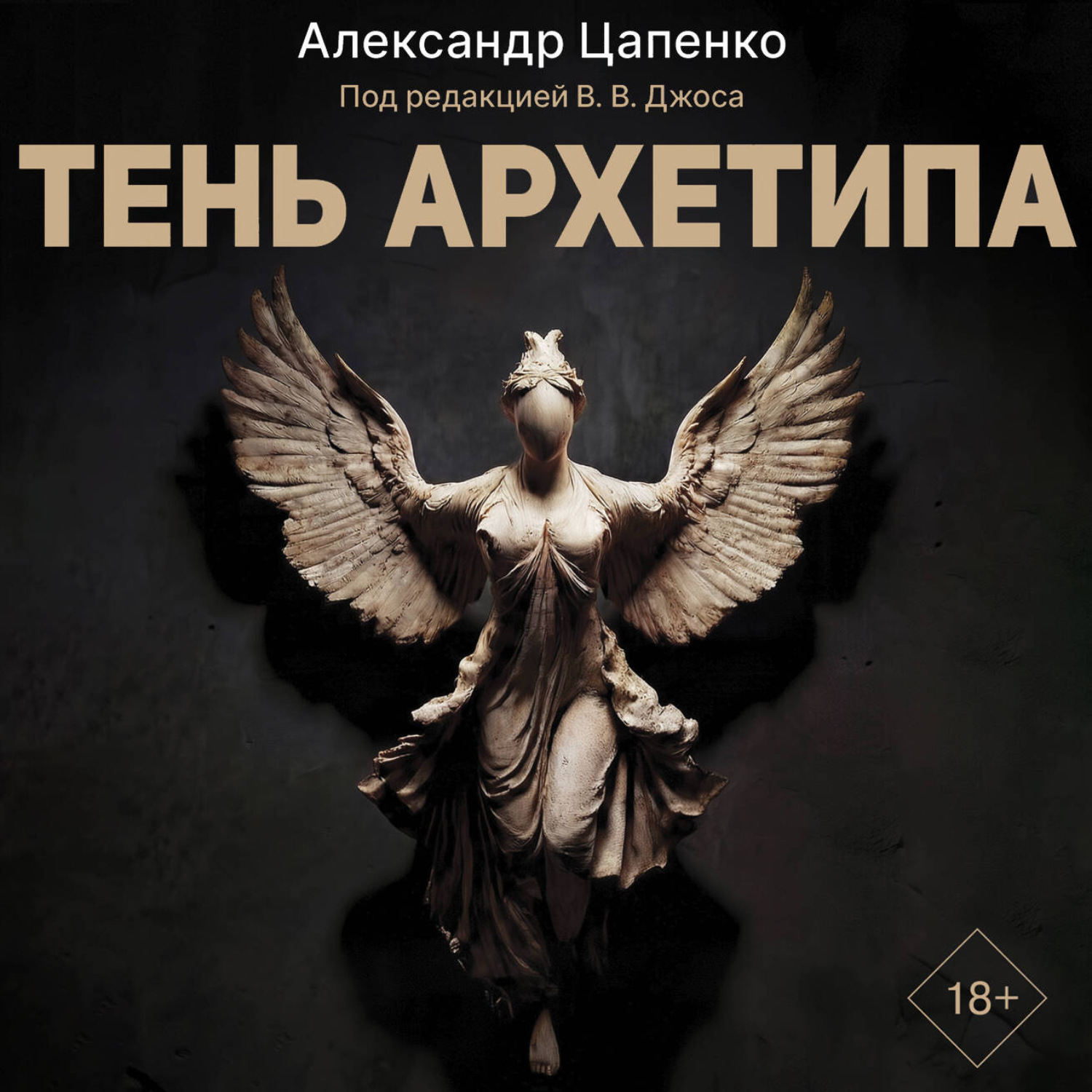 Обложка книги «Тень архетипа»