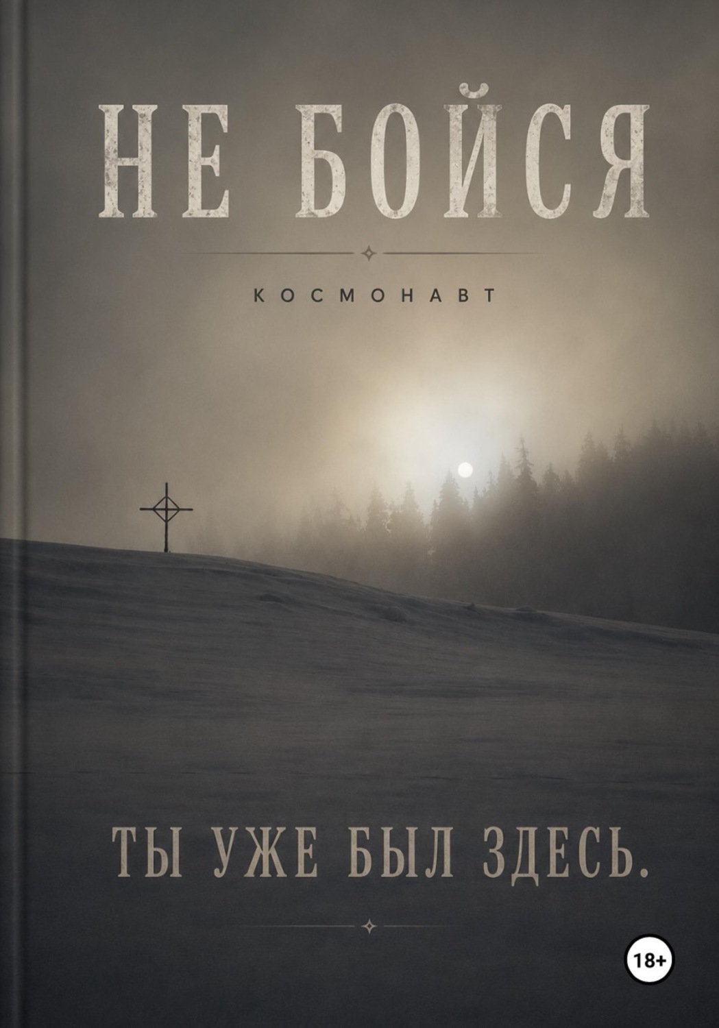 Обложка книги «Не бойся»