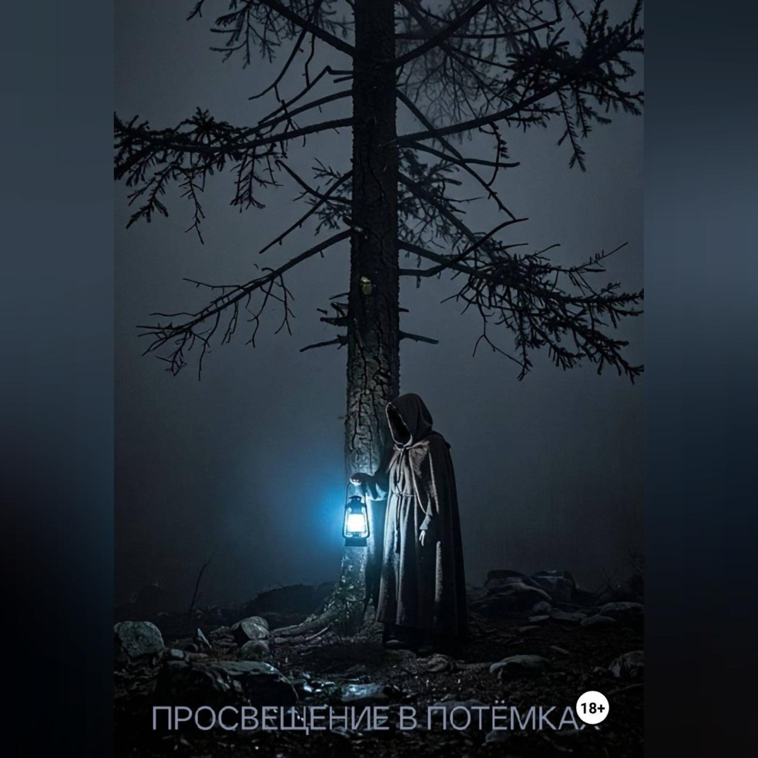 Обложка книги «Просвещение в потёмках»