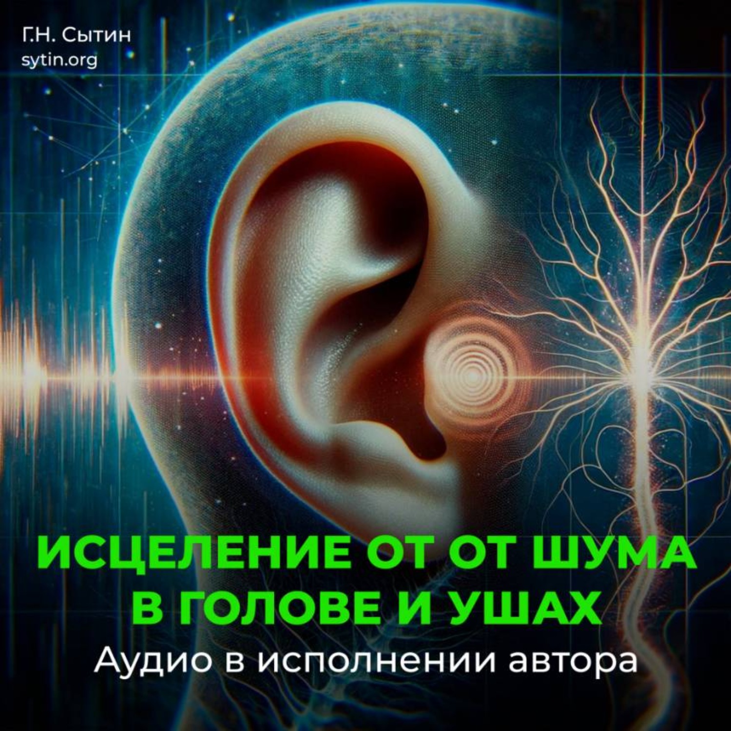 Обложка книги «Настрой от шума в голове и ушах»
