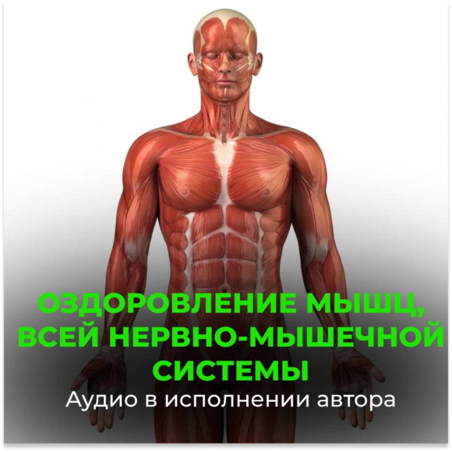 Обложка книги «Оздоровление мышц, всей нервно-мышечной системы»